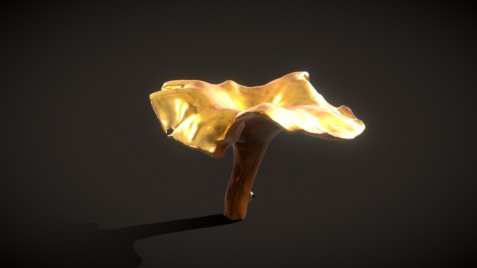 Chanterelle Mushroom