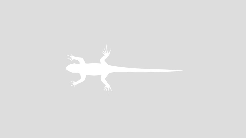 Lizzard