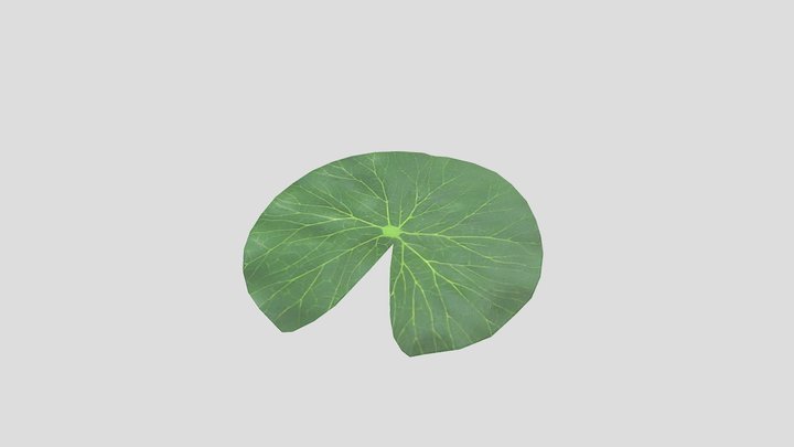 Low poly lily pad 3D Model
