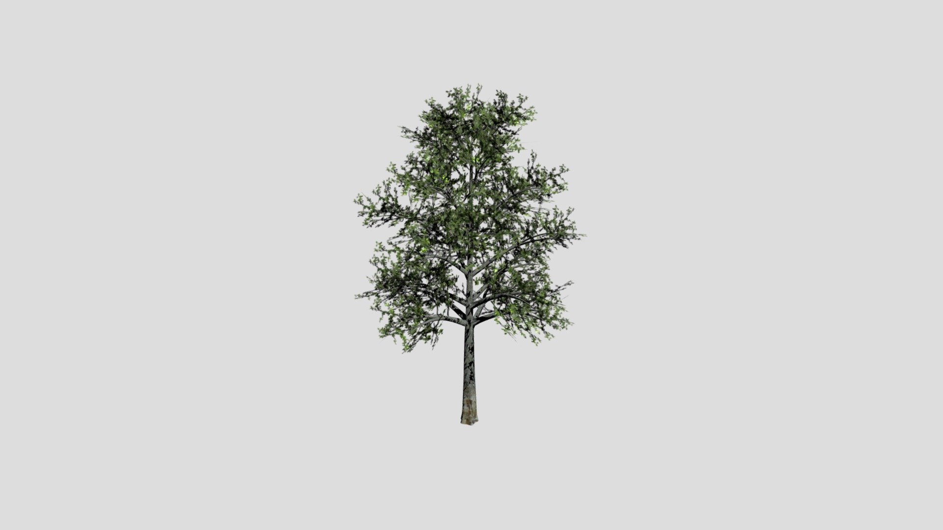 tree_G