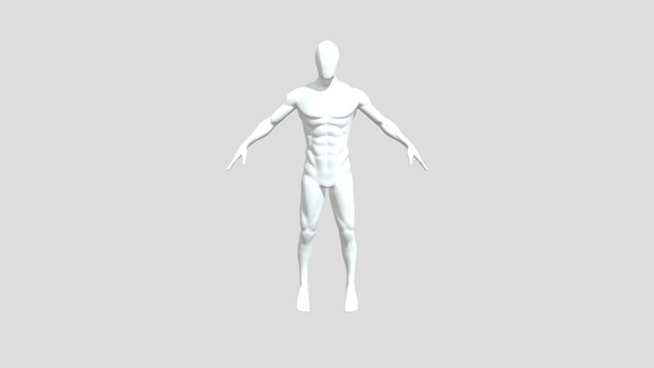 Basmesh 2.0 3D Model