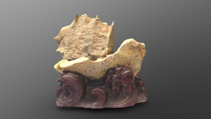 Stone Collectables 2 3D Model