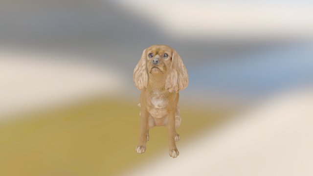 Louis2 3D Model