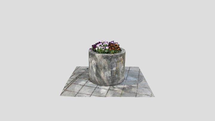 Large Concrete Flower Pot with Flowers 3D Model