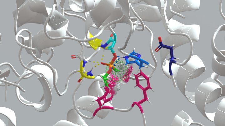 Acetylcholinesterase and sarin 3D Model