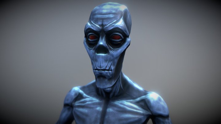 Characer_ Pirate 3D Model