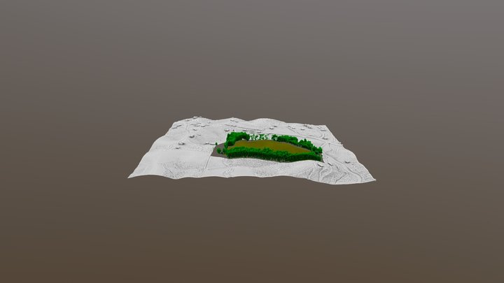 Exterior Trees_subsampled 3D Model