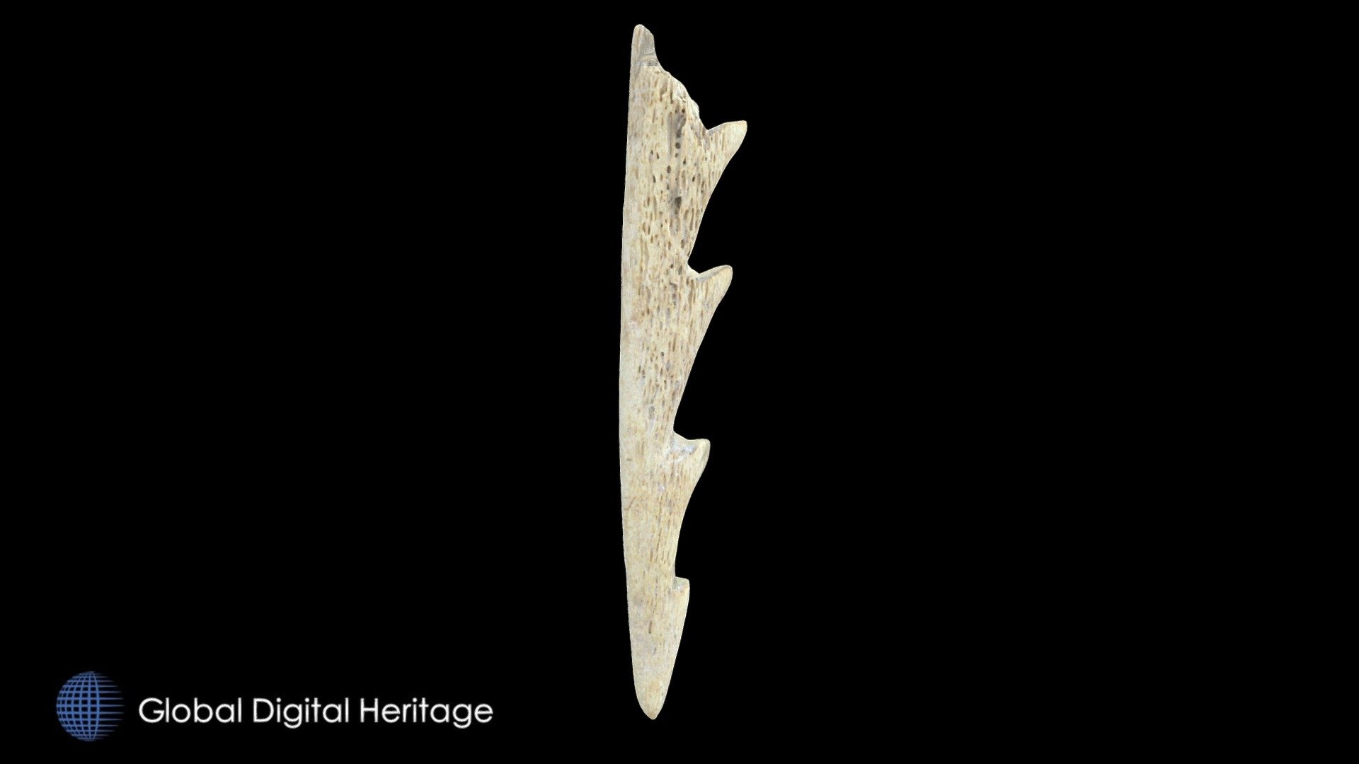 HL-132 Bone Leister Fragment