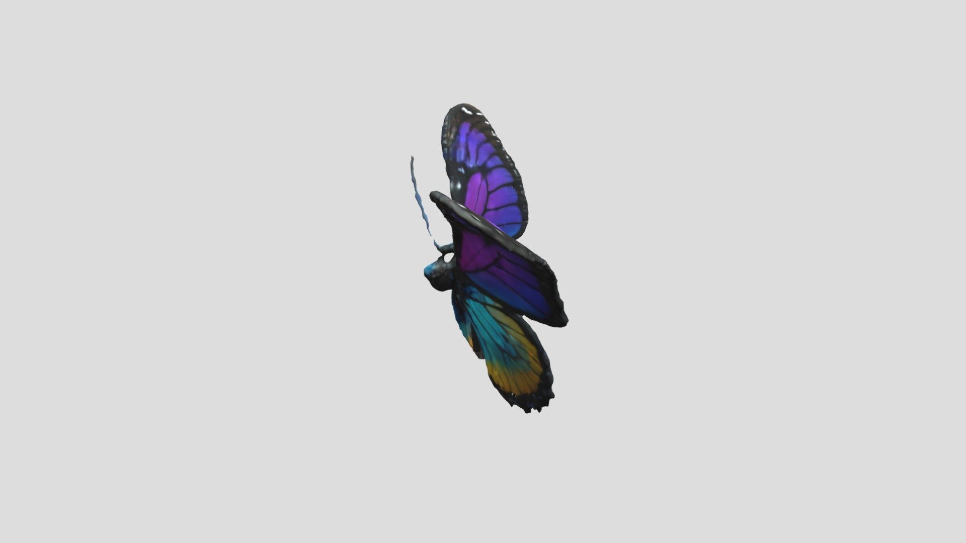 butterfly_draft - 3D model by Connie_0508 [75fa594] - Sketchfab