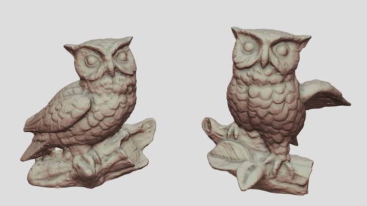 Owls 3D Model