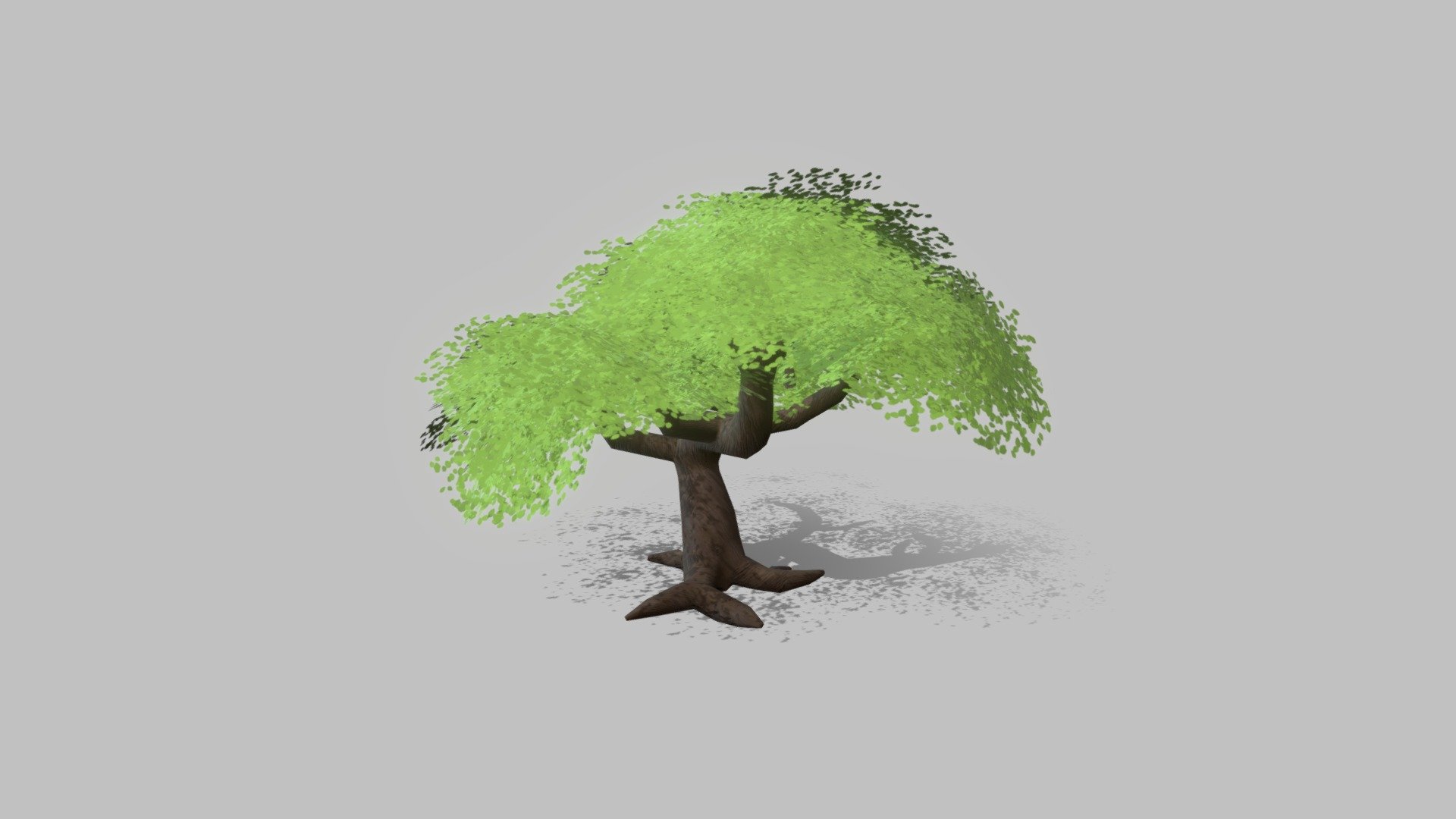 tree
