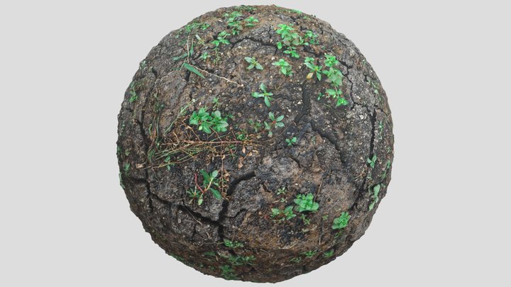 Forest Ground03 3D Model