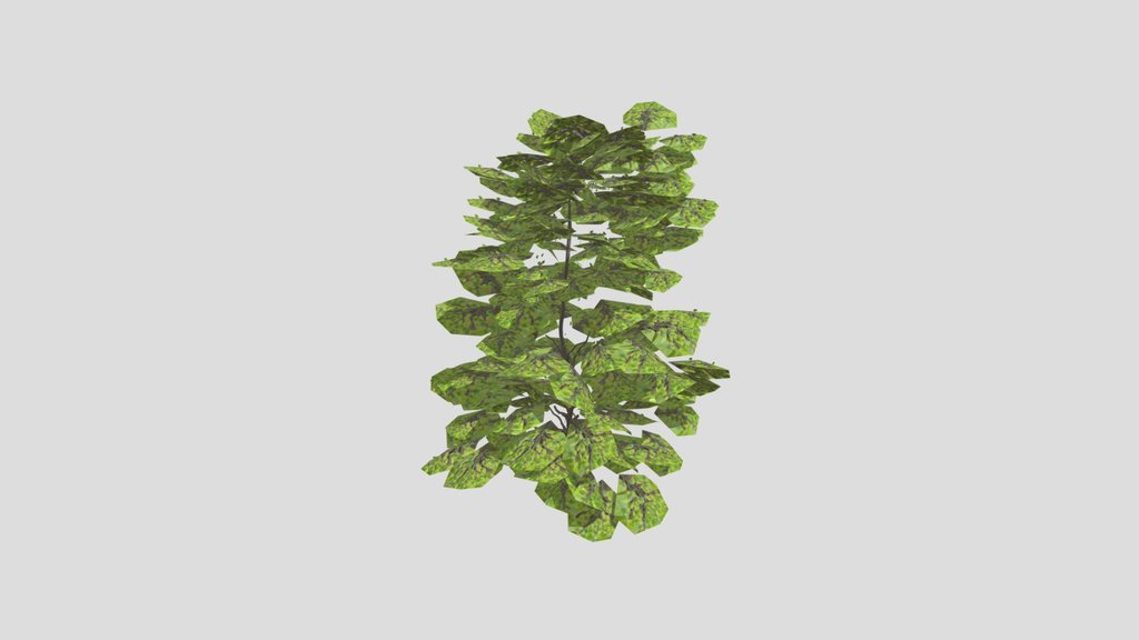 Oak Low Poly B
