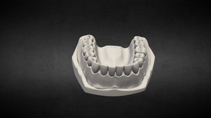 Lower dental arch for print 3D Model