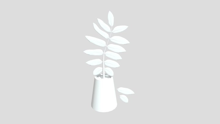 Potted Plant 3D Model