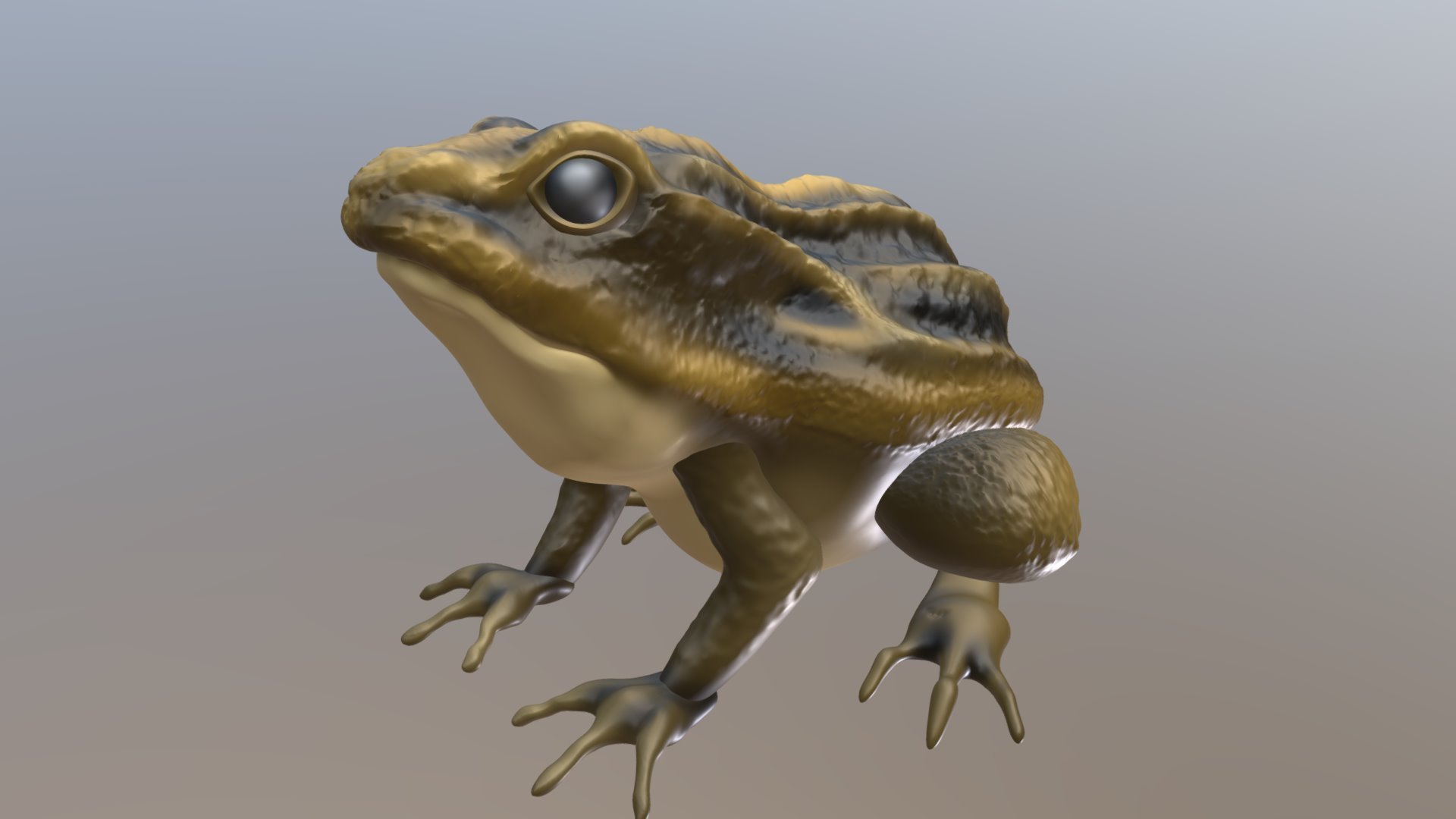 カエル Frog