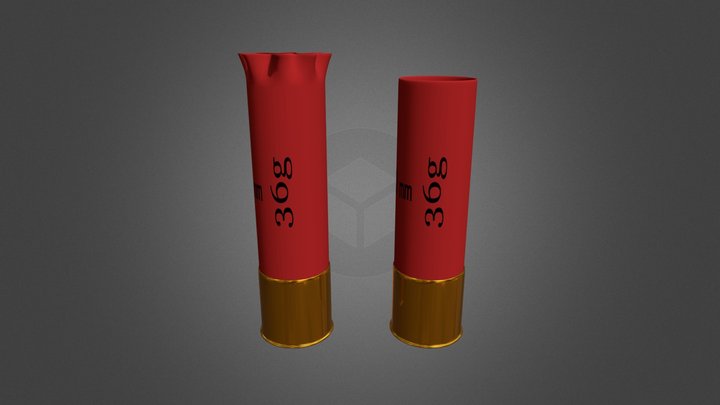 Shell 3D Model