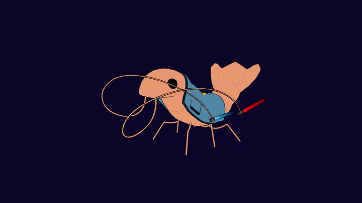 Cheering Chumbud, Shrimp 3D Model
