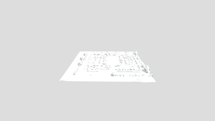 Draft- No color 3D Model