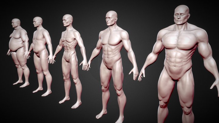 Male Base Mesh - Muscular, Skinny, and Fat 3D Model