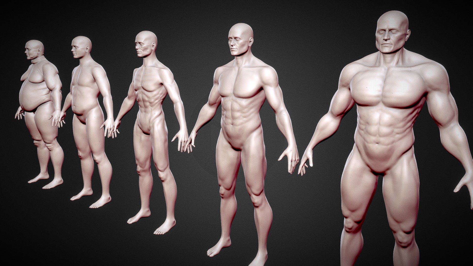 3D model High Quality Realistic Male Base Mesh Skinny -Fully