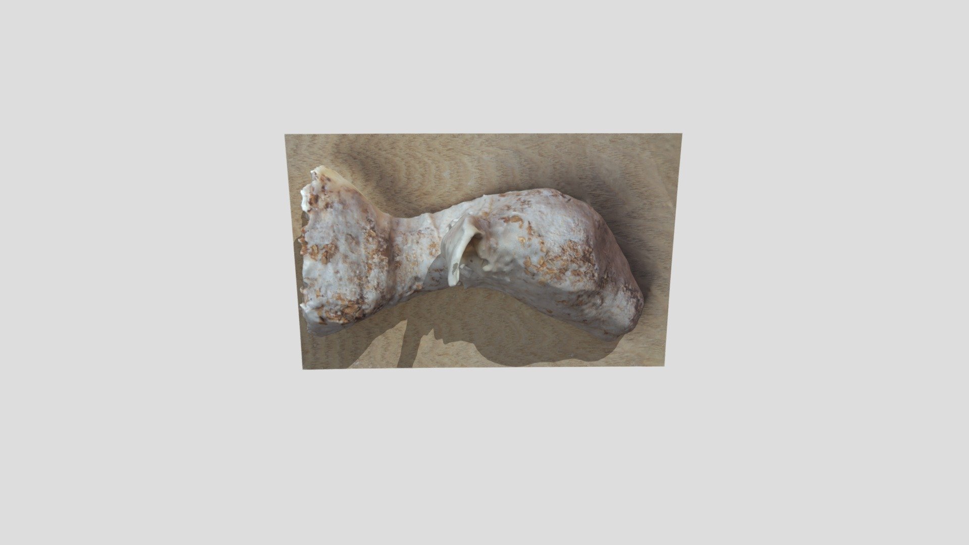 Lambs Head 2