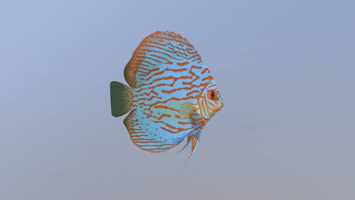 Fishy – Modelo 3D gratuito STL