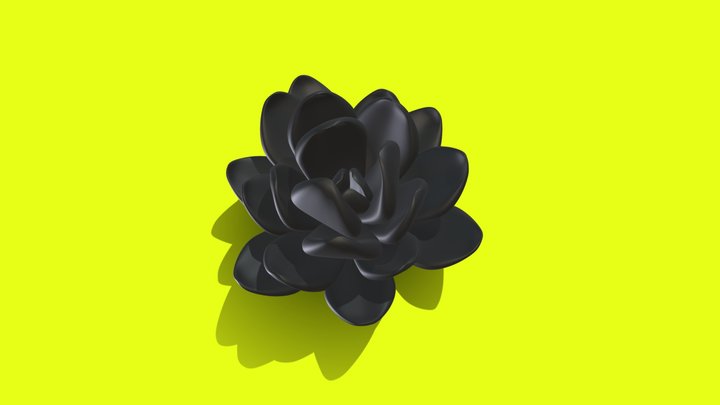 Suculent flower (3D printable) 3D Model