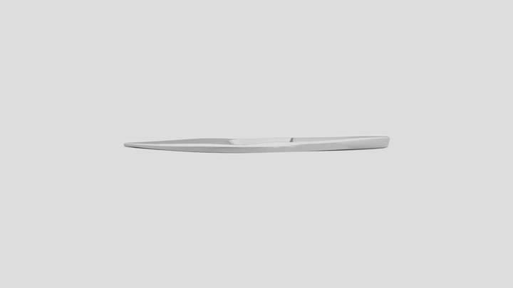 Surfski--2024-10-08 3D Model