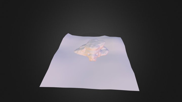 Lion Cave 3D Model