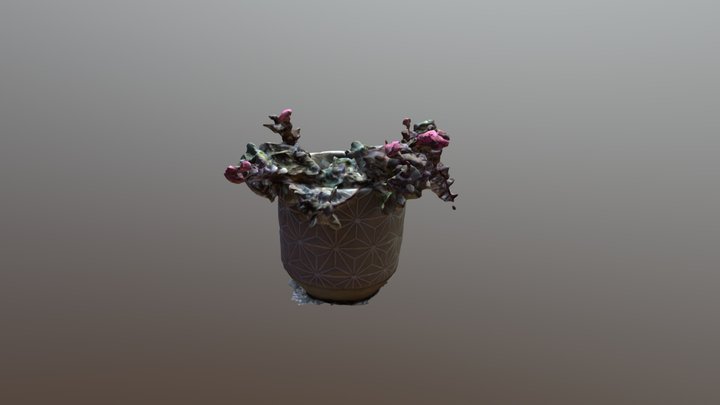 Flower Pot Model 3D Model