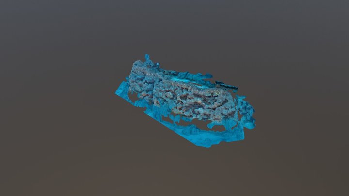 Gorgonians Transplant Gallinara Island - Albenga 3D Model