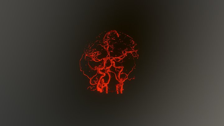 An.AcoA 3D Model