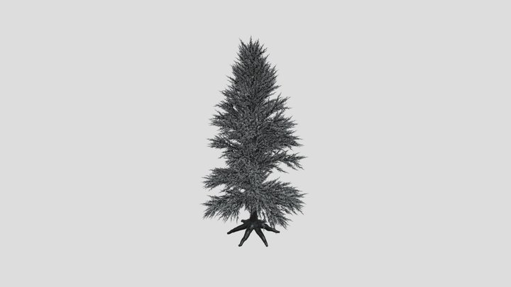 Pine Tree Variation