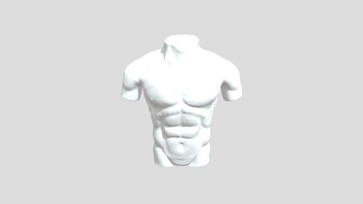 Male Torso Anatomy 3D Model