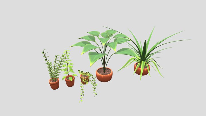 Potted House Plants 3D Model