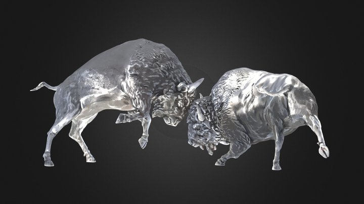 Banff Bison 3D Model