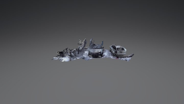Damaged Cars 3D Model