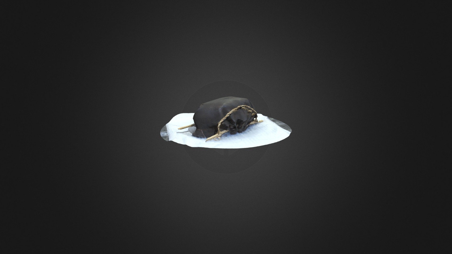 NMA Basket Meshroom Photogrammetry Scan