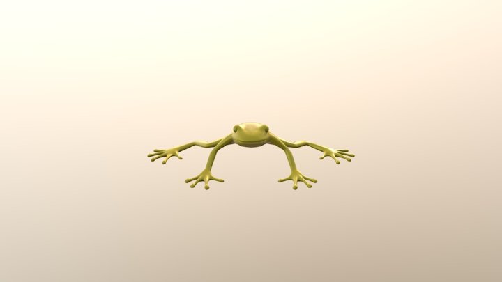 frog test 3D Model