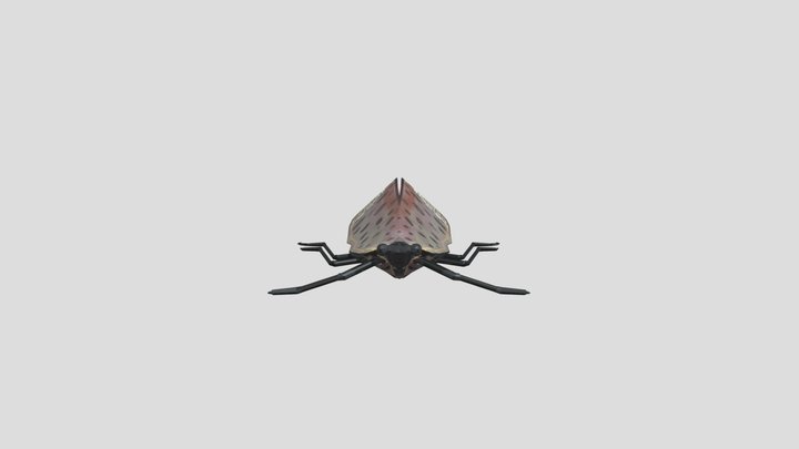 Spotted Lanternfly 3D Model