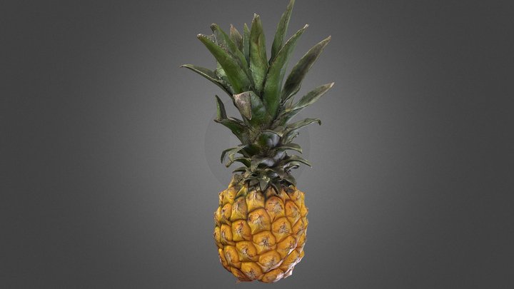 Pineapple 3D Model