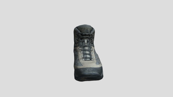 BootPhotogrammetry 3D Model
