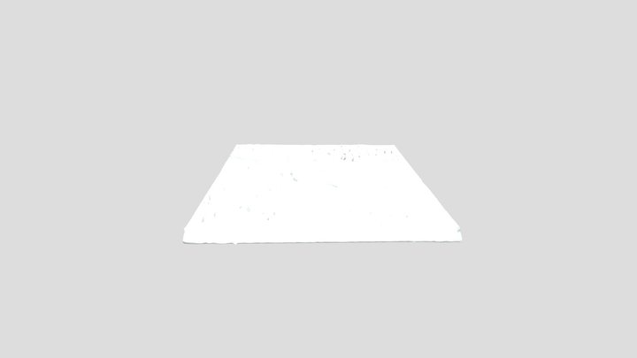 Relief Otto Lilienthal 3D Model