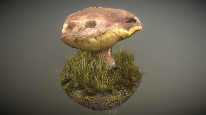 Mushroom Scan 3D Model