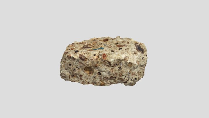 Lab Exam Sample 20 3D Model