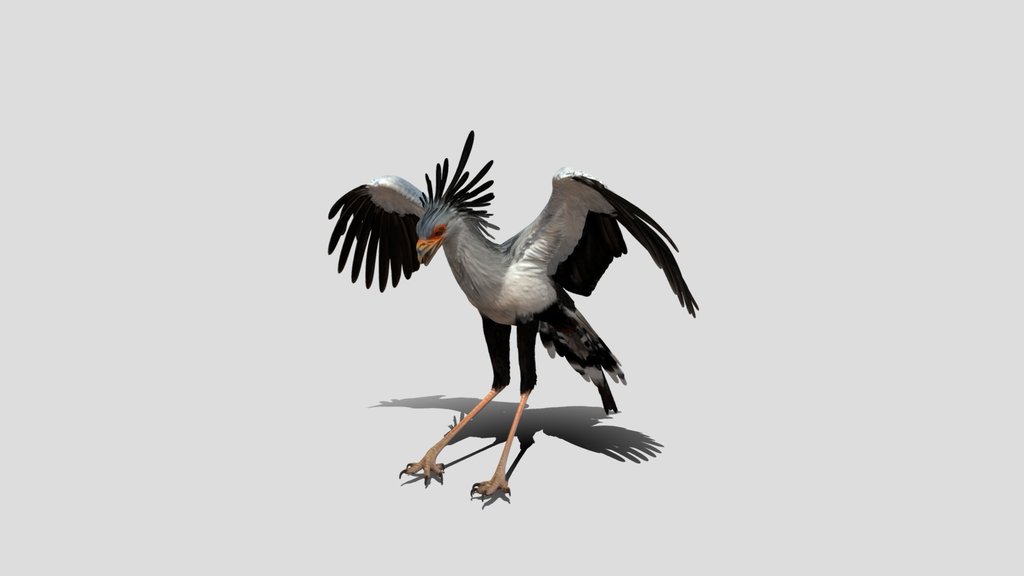 Secretary Bird 3D Model Free