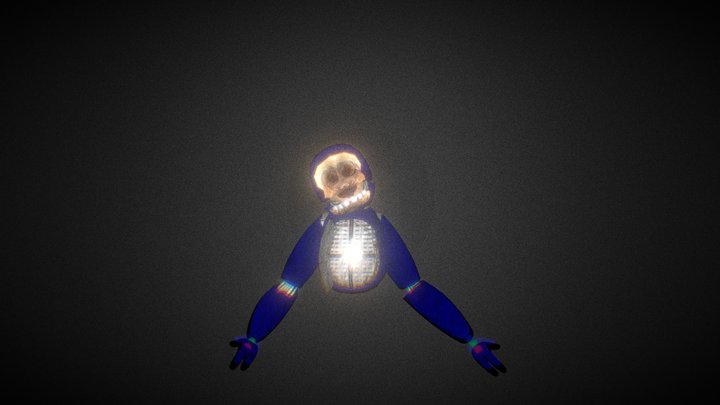 Capuchin 3D models - Sketchfab