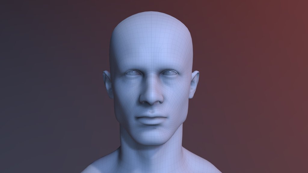 Modeling Reference - A 3D model collection by pitheorem - Sketchfab