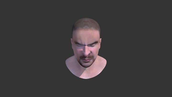 Angry-face-closed-eyes-human face test 3D Model